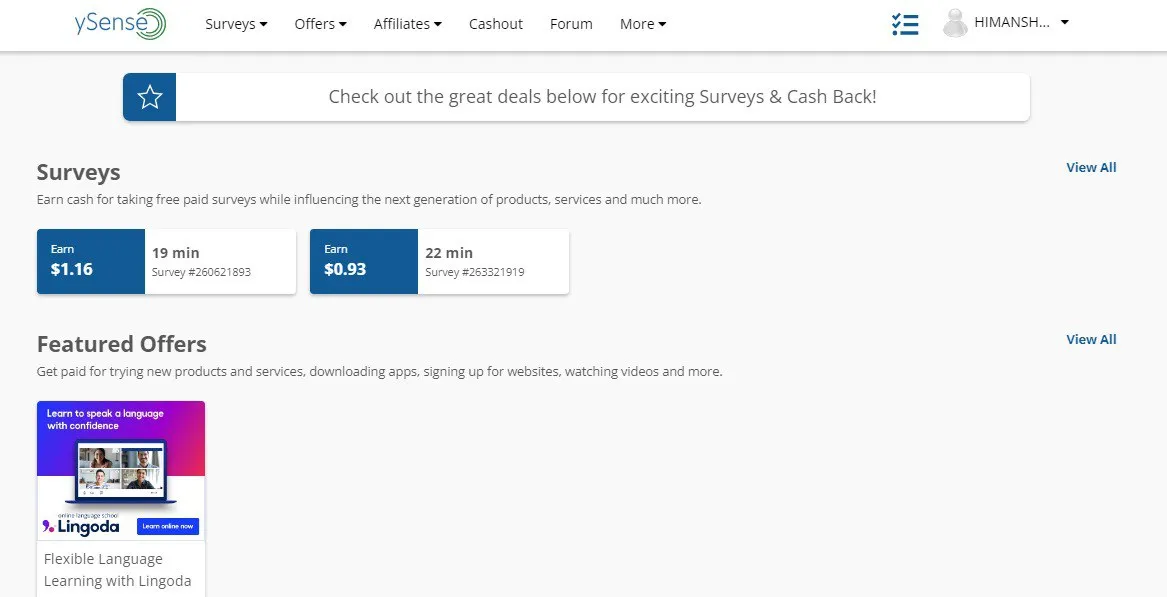 ySense Survey